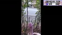 지하철무빙남 이번엔 까페다 - 국산야동 인기 한국야동