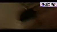 오빠 오늘 집에 아무도안와 - 국산야동 한국야동